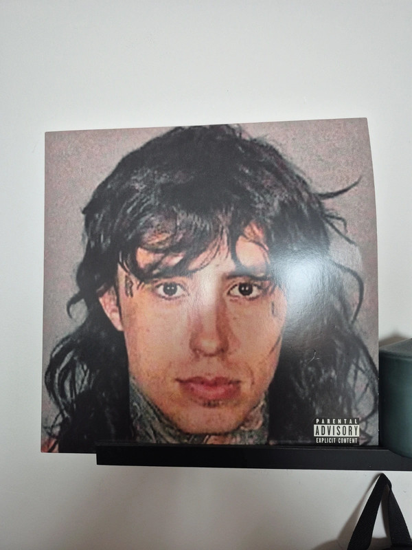 Vinyl The Falling Reverse