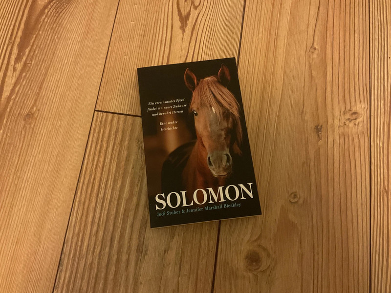 Solomon, ein vereinsamtes Pferd findet ein neues Zuhause und berührt Herzen