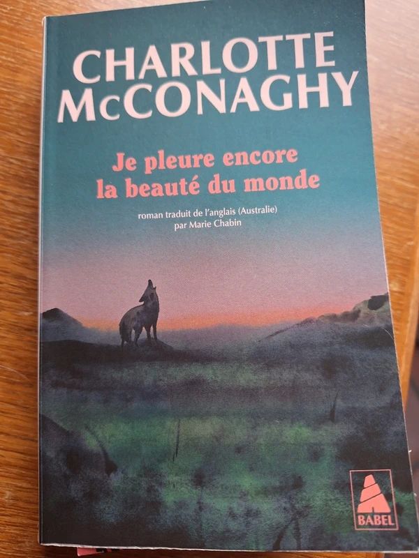 Je pleure encore la beauté du monde