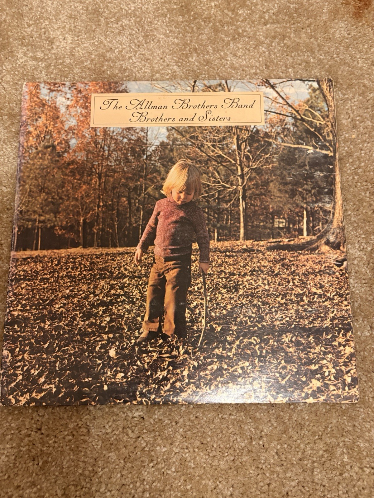 The Allman Brothers Band Brothers and Sisters Vinyl LP Record Album Very Good