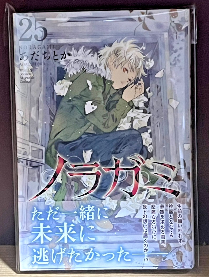 1a edizione stampata Noragami Stray God Manga Vol. 25 fumetti giapponesi...