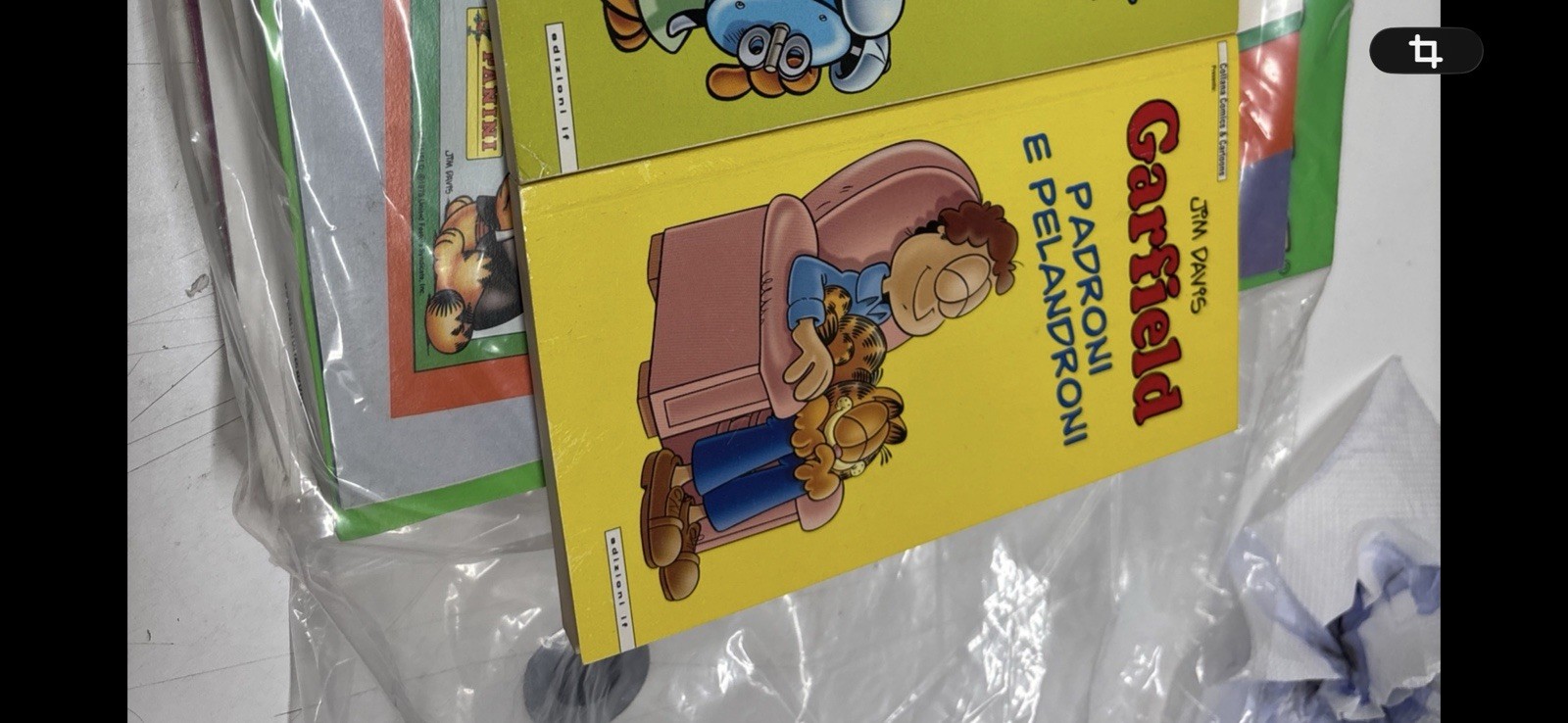 Garfield Padroni e pelandroni Edizioni IF