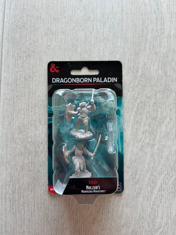 Dungeon’s & Dragons Minifigure
