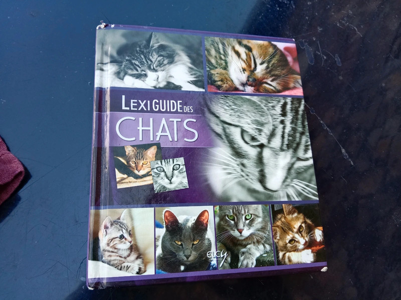 Lexiguide des chats 🐱