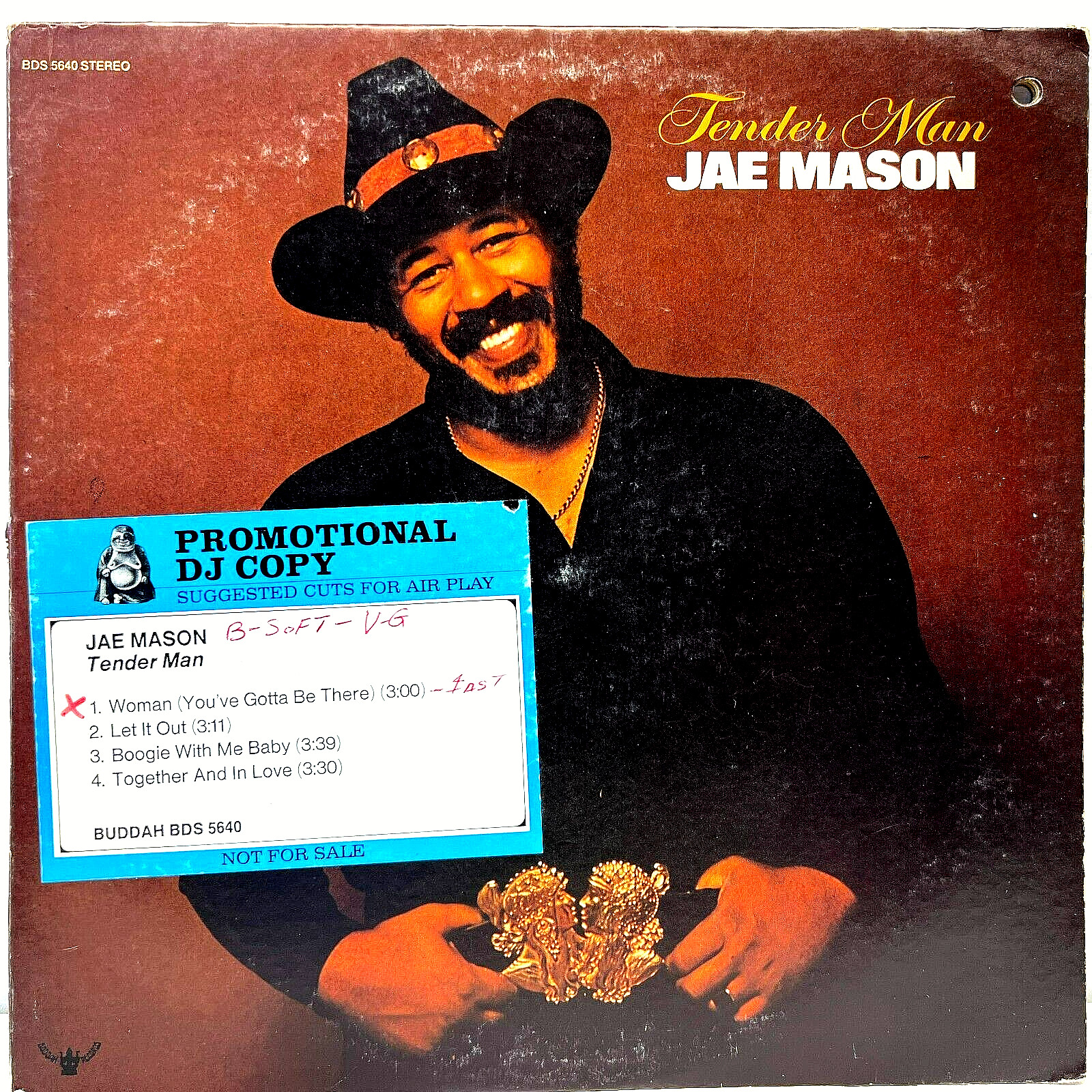 Jae Mason Tender Man 1975 Vinyl Buddah Records 1st Press w/ Insert Promo