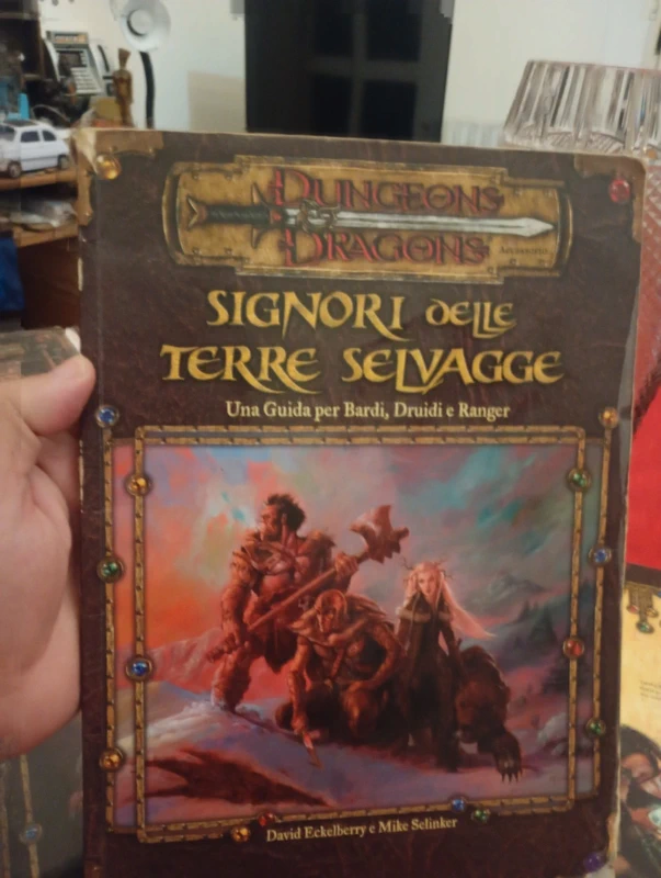 Dungeons e dragons signori delle terre selvagge