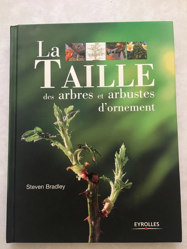La taille des arbres et arbustes d’ornement