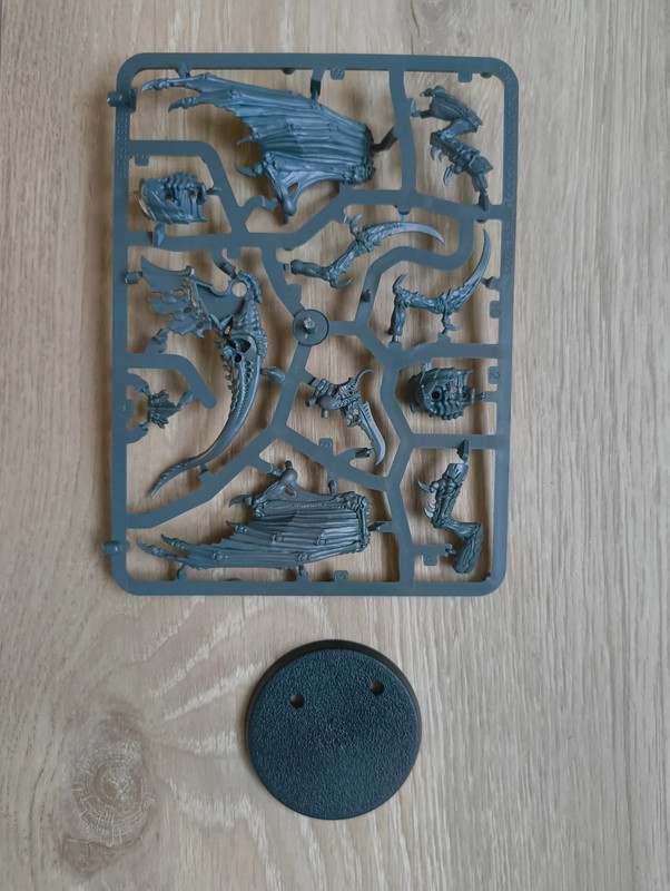 Figurine Warhammer Prime Tyranide ailé sur grappe