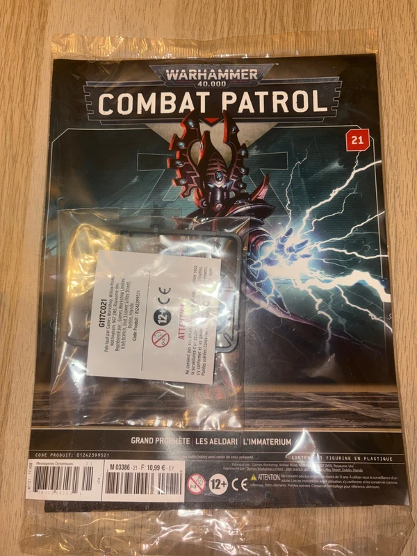 Combat patrol numéro 21