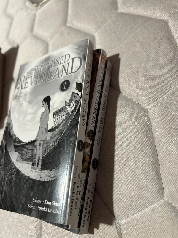 The promised neverland