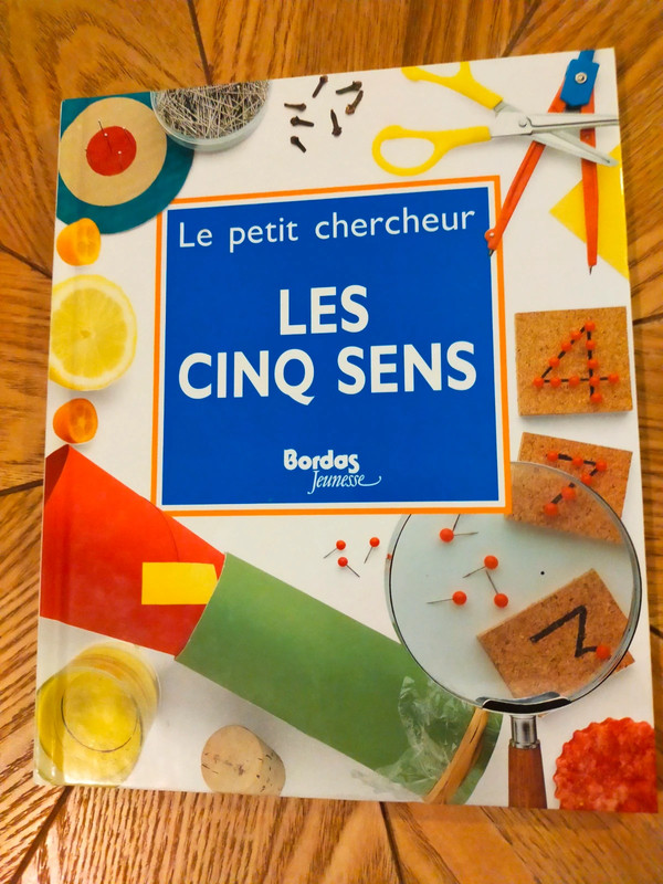 Livre les cinq sens travaux manuels