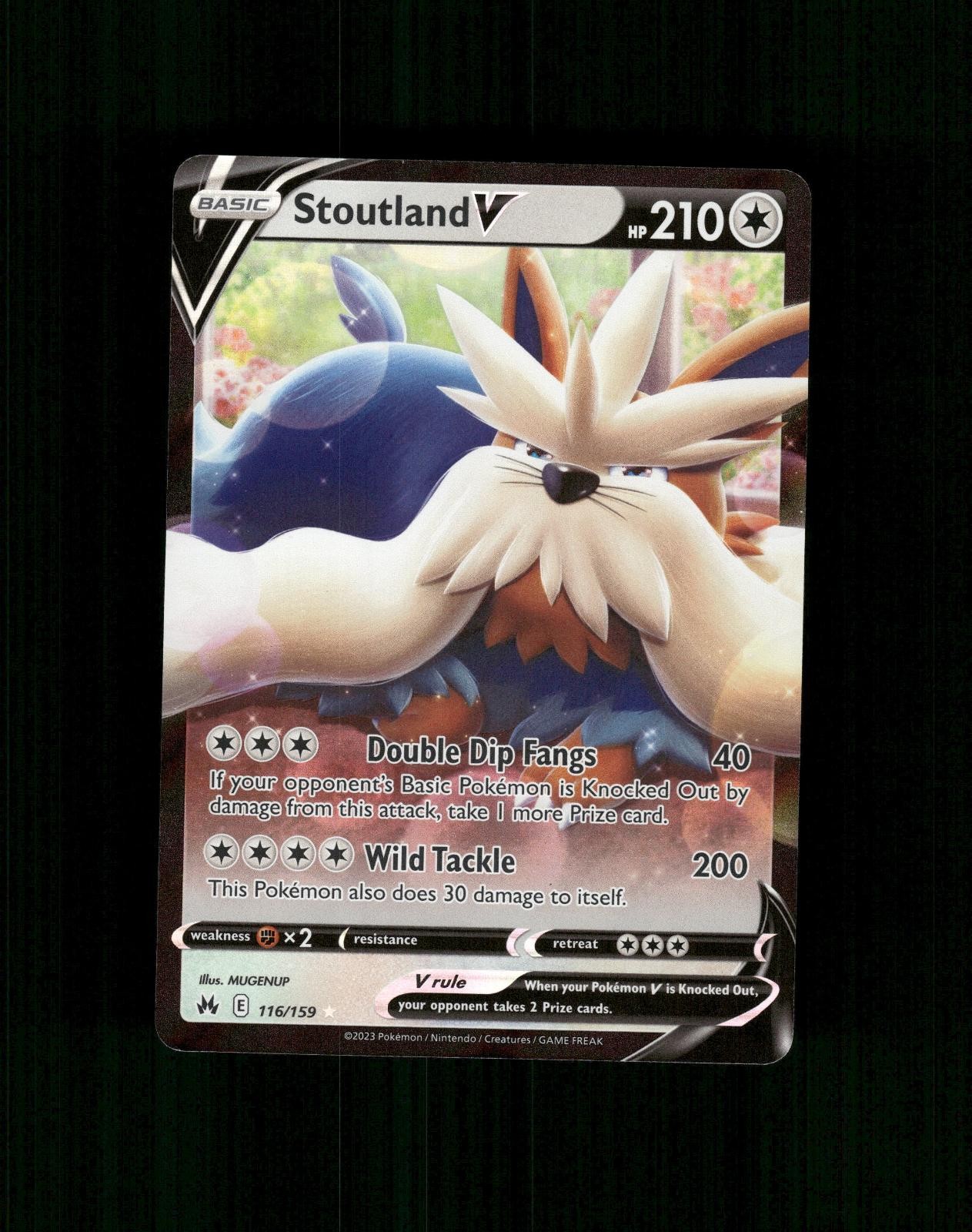 Pokemon Stoutland V 116/159 Holo V Raro Corona Zenith quasi come nuovo
