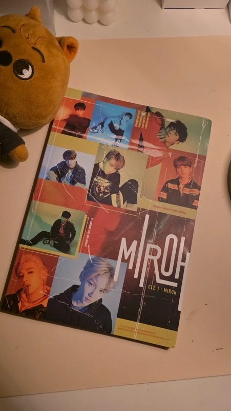 Stray kids miroh