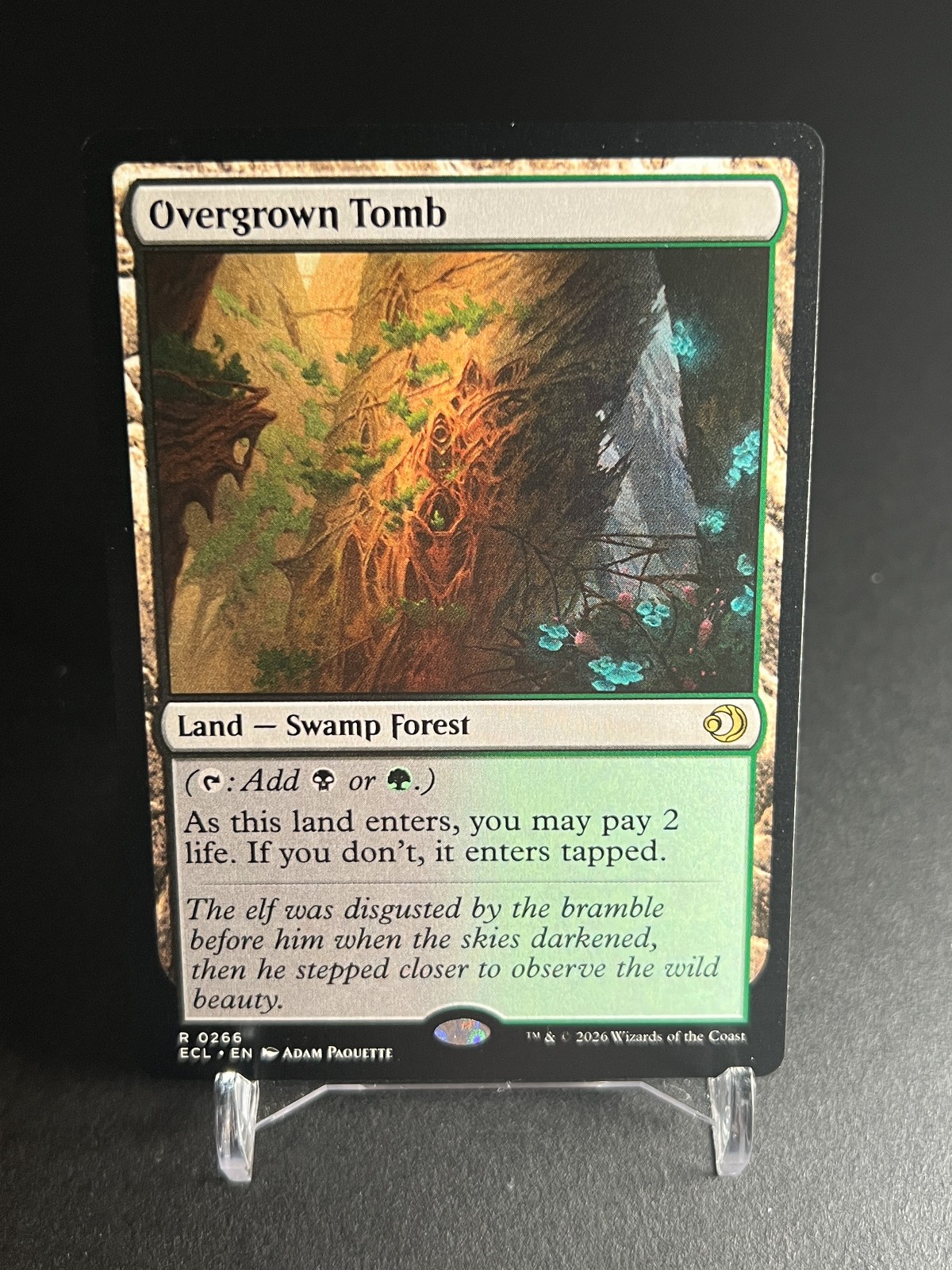 Overgrown Tomb - NM - Lorwyn Eclipsed ECL 266 - MTG Magic the Gathering