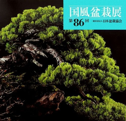 BONSAI KOKUFU usato mostra arte giapponese fotolibro ricordo 8... forma libro JP