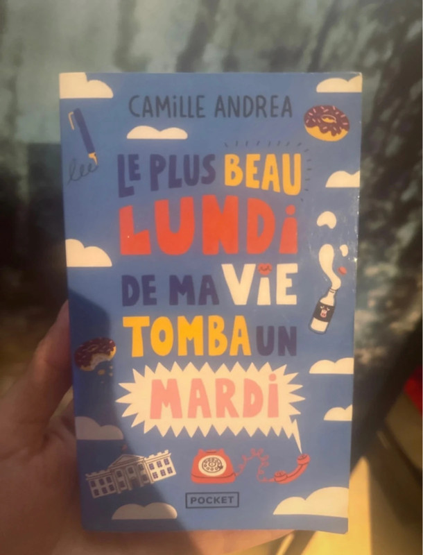 Le plus beau lundi de ma vie, tomba un mardi Camille Andrea
