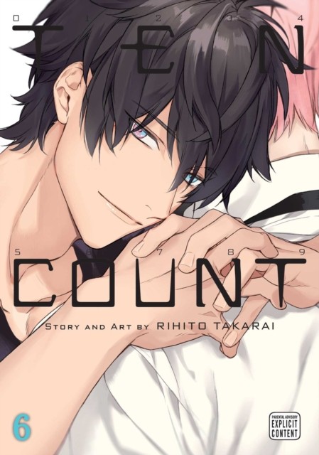 Ten Count, Vol. 6 by Rihito Takarai (Paperback Book)