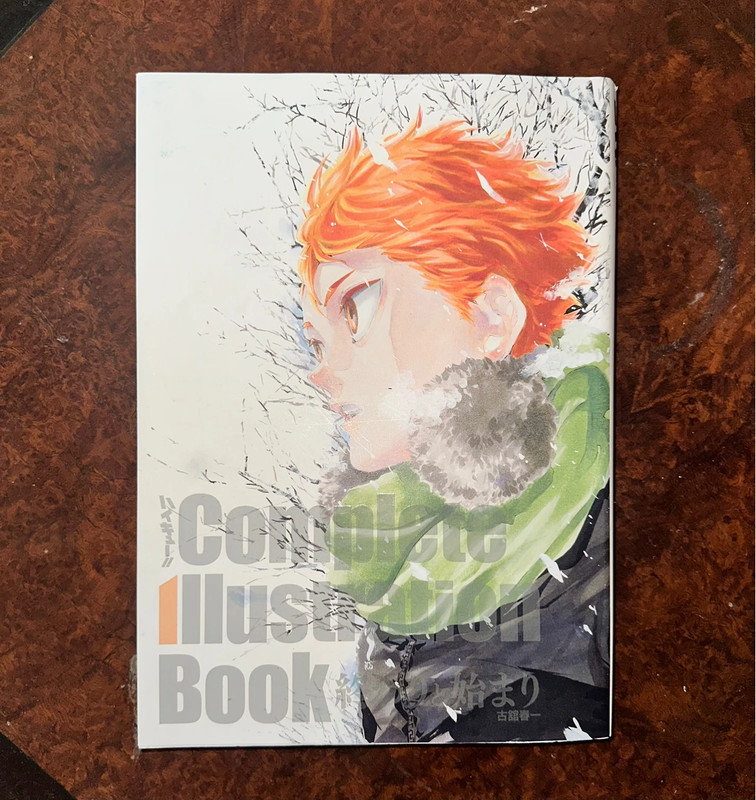 Libro de ilustraciones completo Haikyuu