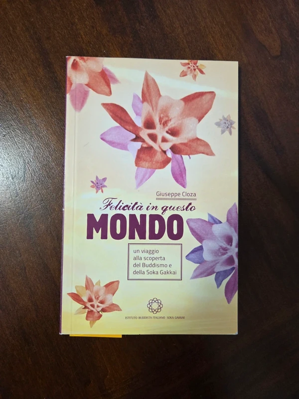 Libro - Felicità in questo mondo